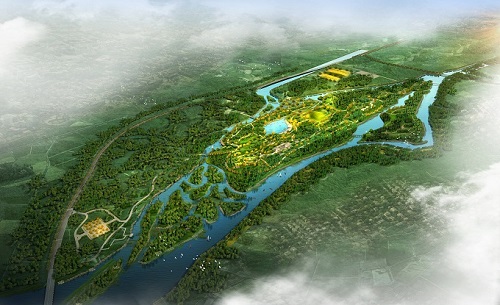 1589158698922516.jpg 86-500.jpg